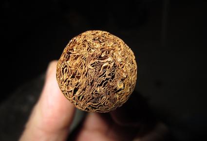 Cohiba Behake أغلى سيجار في العالم