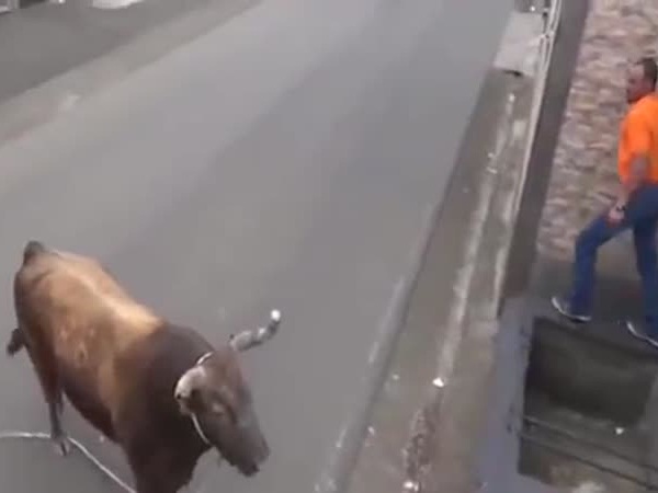 كان يصور المشهد .. فنسى حماية نفسه .. فيديومزعج