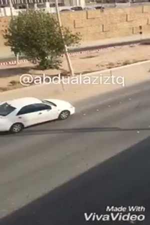 شاهد بالفيديو .. خروف هارب قبل العيد كاد أن يتسبب في حادث كبير
