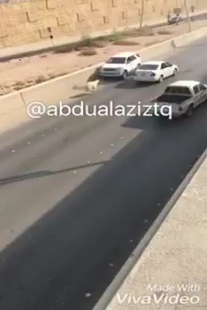 شاهد بالفيديو .. خروف هارب قبل العيد كاد أن يتسبب في حادث كبير