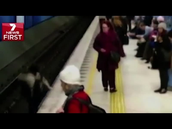 كتب لها عمر جديد من تحت عجلات المترو