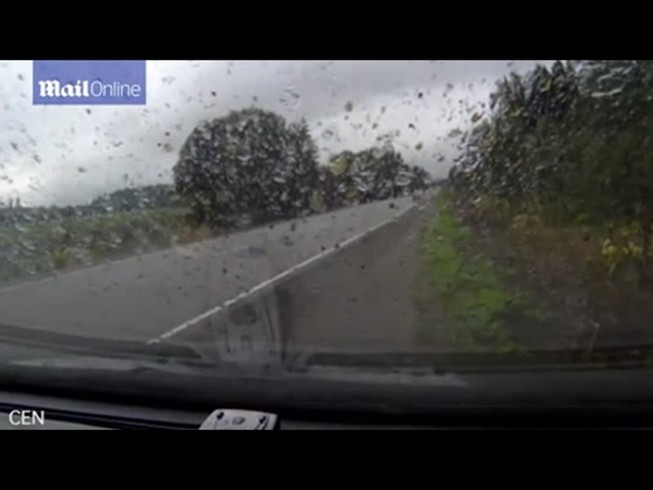 حاولوا تجاوز السيارة التي أمامهم .. فتسببوا في حادث أليم وطاروا جميعًا من السيارة