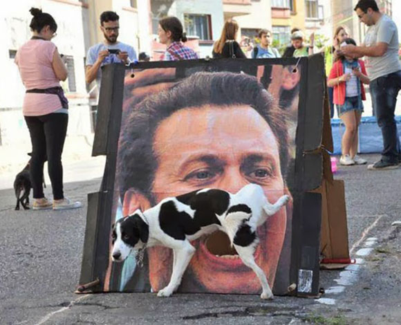 35 صورة التقطت في اللحظة المناسبة 