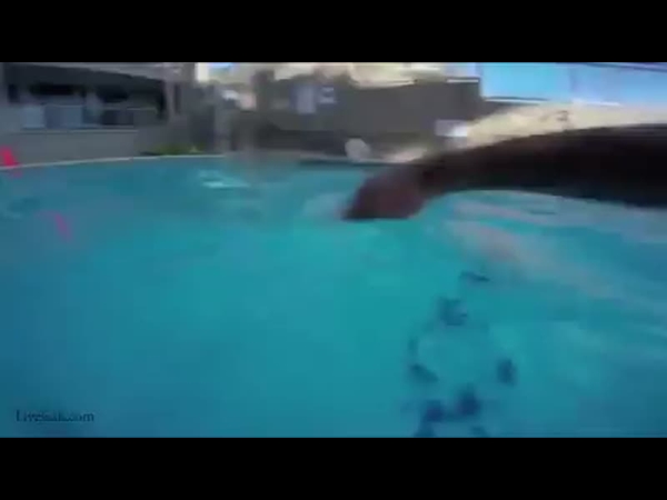 رمى نفسه من أعلى البناية وكأته سينتحر .. ثم سقط في هذا