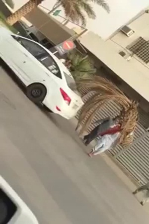 لن تصدق .. فيديو لرجل يحملة نخلة كاملة على ظهره
