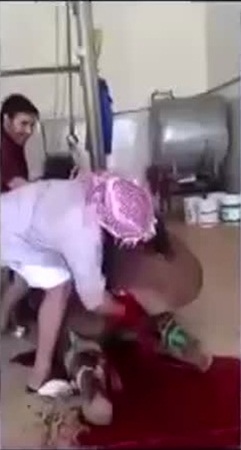 حرس الحدود في الجوف يحبطون عملية تهريب .. ومواطن يشكرهم بهذه الطريقة .. فيديو