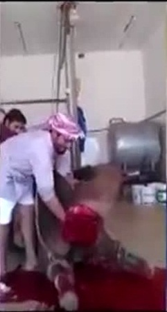 حرس الحدود في الجوف يحبطون عملية تهريب .. ومواطن يشكرهم بهذه الطريقة .. فيديو