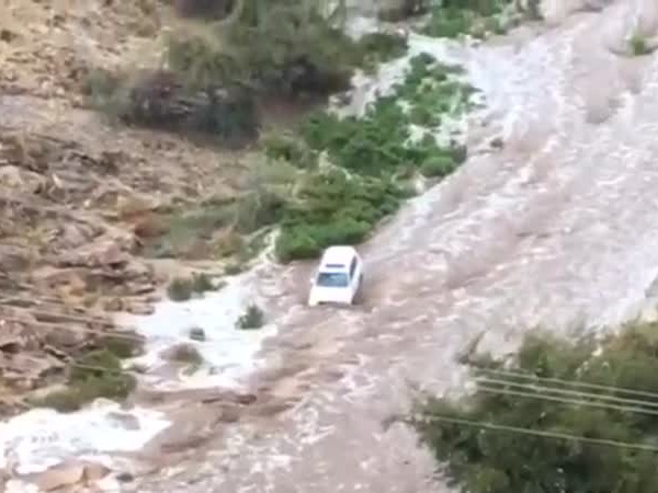 بالفيديو .. ينقذ عريس وعروسه من السيل الجارف