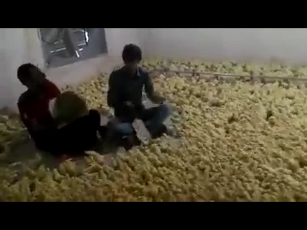 بالفيديو .. تعرف على الجمهور الاستثنائي لهذا العرض الفني