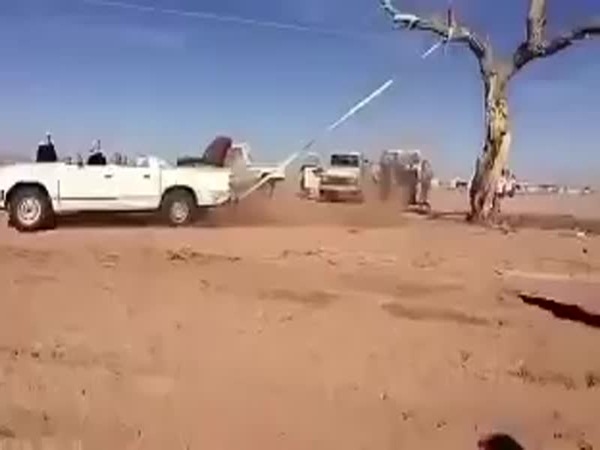 شاهد شاب يقتلع شجرة معمرة من جذورها