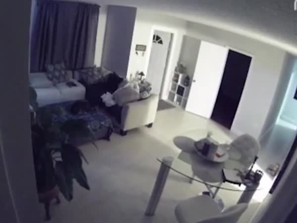 بالفيديو .. لصين يحتجزان طفلًا داخل منزله