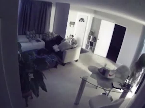 بالفيديو .. لصين يحتجزان طفلًا داخل منزله