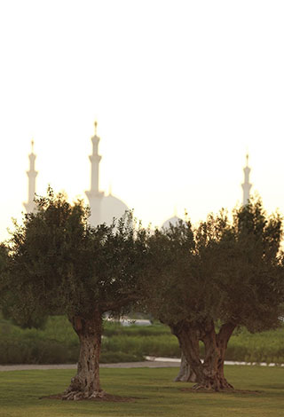 إستمتعوا بإقامة فاخرة خلال عيد الفطر في فندق الريتز-كارلتون أبوظبي
