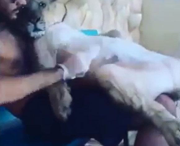 بالفيديو: سعودي يمتلك أغرب صديق في العالم