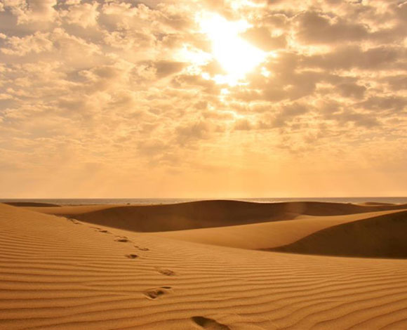8 نصائح بسيطة قد تساعد على إنقاذ الحياة في الصحراء
