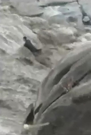 بالفيديو- غرق 3 سعوديين في وادي عتود