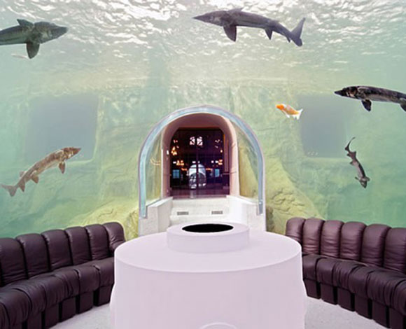 بيع أغلى فيلا في العالم بـ 301 مليون دولار