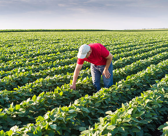 منظمة USDA تطلق تقرير مبادئها التوجيهية لتناول الطعام الصحي