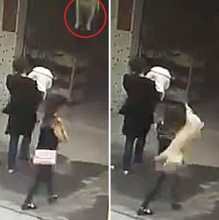 بالفيديو: كلب يسقط فوق رأس امرأة أثناء سيرها في الشارع!