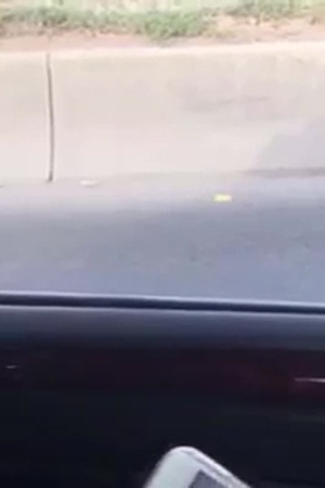 ثعبان ضخم يثير الاستغراب في شوارع الرياض .. فيديو