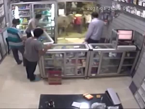 بالفيديو .. عجل يقتحم صيدلية ويصيب الموجودين بالرعب