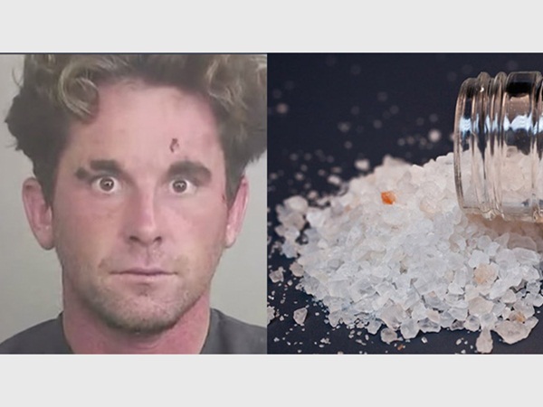 مخدر الفلاكا هو أشد المخدرات خطورة .. شاهد السبب