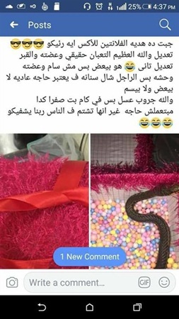تهدي لحبيبها هدية مرعبة في عيد العشاق