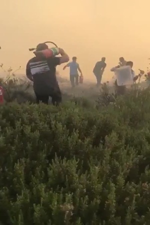 بالفيديو .. العاهل الأردني يشارك في إطفاء حريق بجانب قوات الدفاع المدني