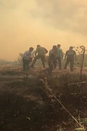 بالفيديو .. العاهل الأردني يشارك في إطفاء حريق بجانب قوات الدفاع المدني