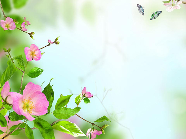 صور خلفيات جوال مميّزة وجميلة