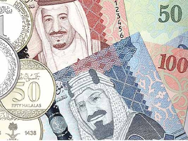 ارتفاع متوسط دخل الفرد في المملكة