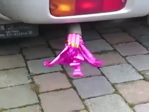 فيديو طريف ... ماذا يمكن للملل أن يفعل بك