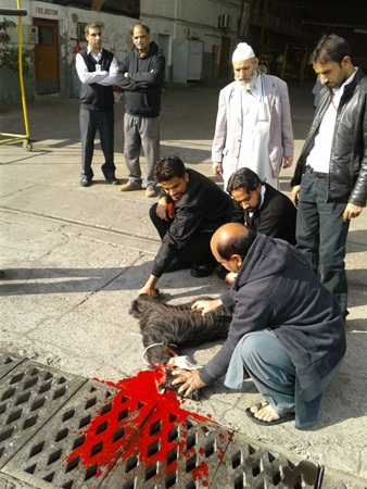 ذبح معزة في مطار باكستان طلبًا للحظ .. مشاهد مزعجة