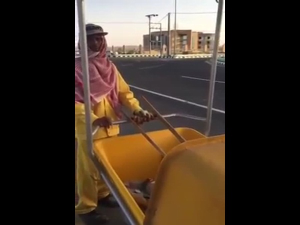هجوم ضاري على بلدية القصيم بسبب هذه الأشجار