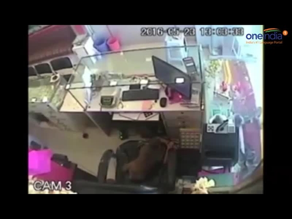 قرد يسرق متجر بالهند