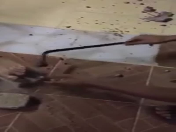 يكسرون أصابعهم من أجل العطلة