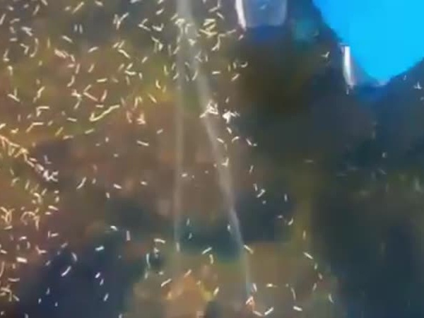 بالفيديو .. أصوات مخلوقات فضائية تخرج من بحيرة متجمدة