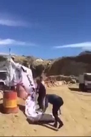 بالفيديو .. لهذا السبب أوقف أمير مكة موكبه