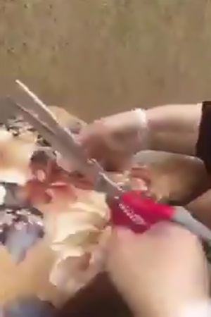 شاهد كيف استطاعت هذه الخادمة تخبئة المال من أهل المنزل