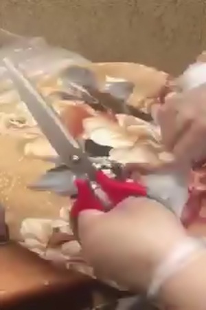 شاهد كيف استطاعت هذه الخادمة تخبئة المال من أهل المنزل