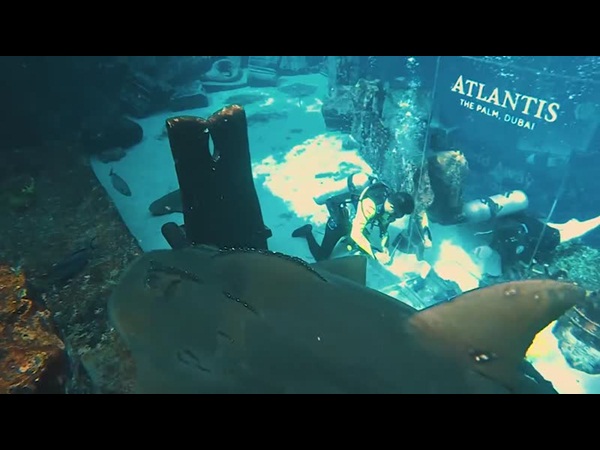 يحصد لقب في موسوعة غينيس بدبي .. وهذا هو ما قام به .. فيديو