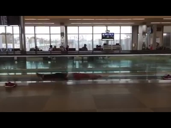 شاهد كيف ييستغل المبدعون الأوقات المملة