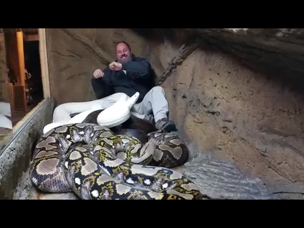 يقتحم جحر الثعابين .. فما الذي وجده