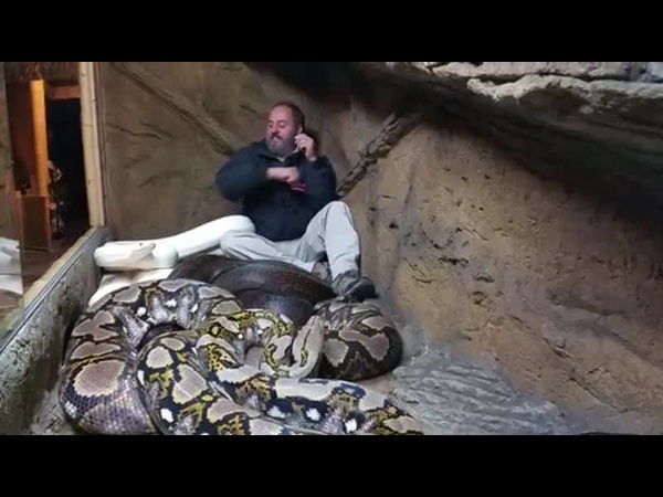 يقتحم جحر الثعابين .. فما الذي وجده