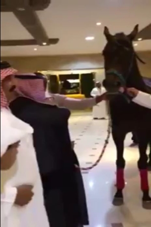 أغرب هدية زفاف لعريس سعودي