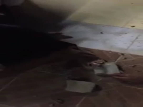 يكسرون أصابعهم من أجل العطلة