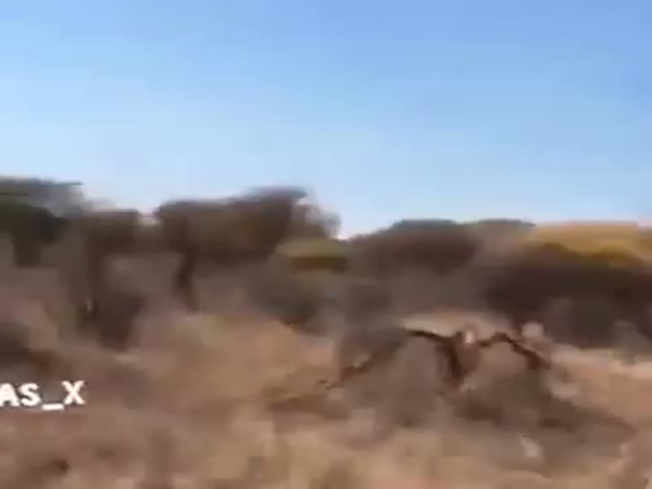 بالفيديو .. اصطادوا زرافة وذبحوها لطهيها ... وانقسام الفيس بوك حول هذا الأمر .. مشاهد عنيفة