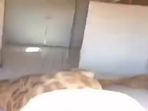 بالفيديو .. اصطادوا زرافة وذبحوها لطهيها ... وانقسام الفيس بوك حول هذا الأمر .. مشاهد عنيفة