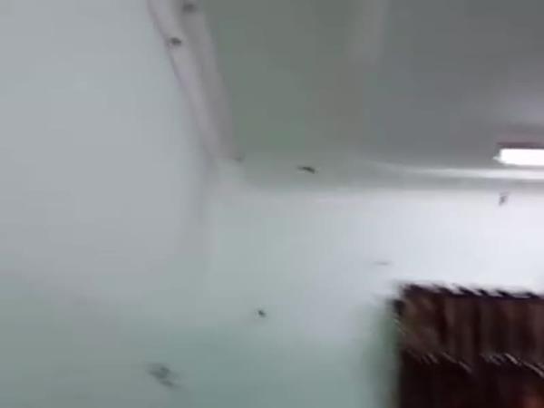 هذا ما وجده عندما فتح المكيف لإصلاحه .. وهكذا تخلص منه