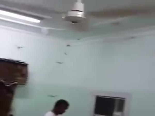 هذا ما وجده عندما فتح المكيف لإصلاحه .. وهكذا تخلص منه
